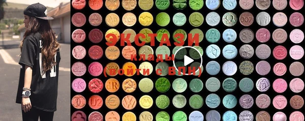 индика Сясьстрой