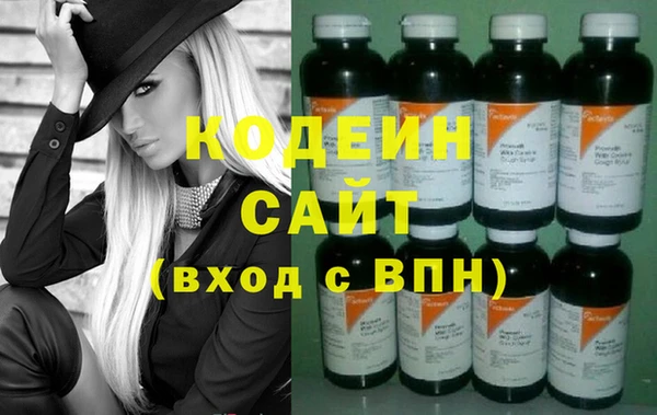 индика Сясьстрой