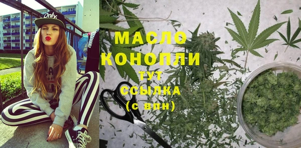 индика Сясьстрой