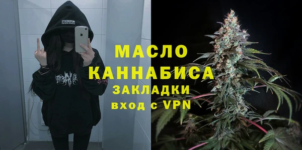 индика Сясьстрой