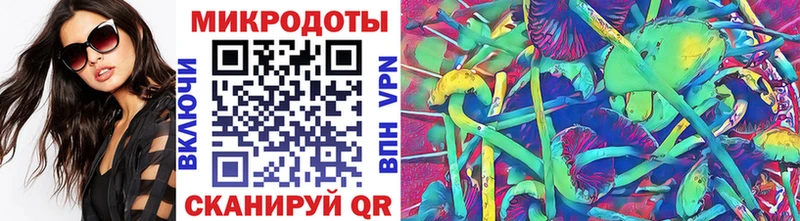 Галлюциногенные грибы Psilocybe  Купить где  Калининец